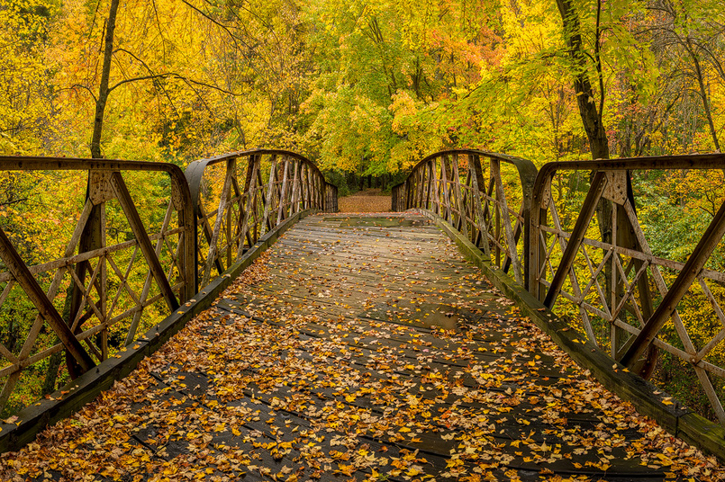 danielle pybus recommends Colors Of Autumn Leaked