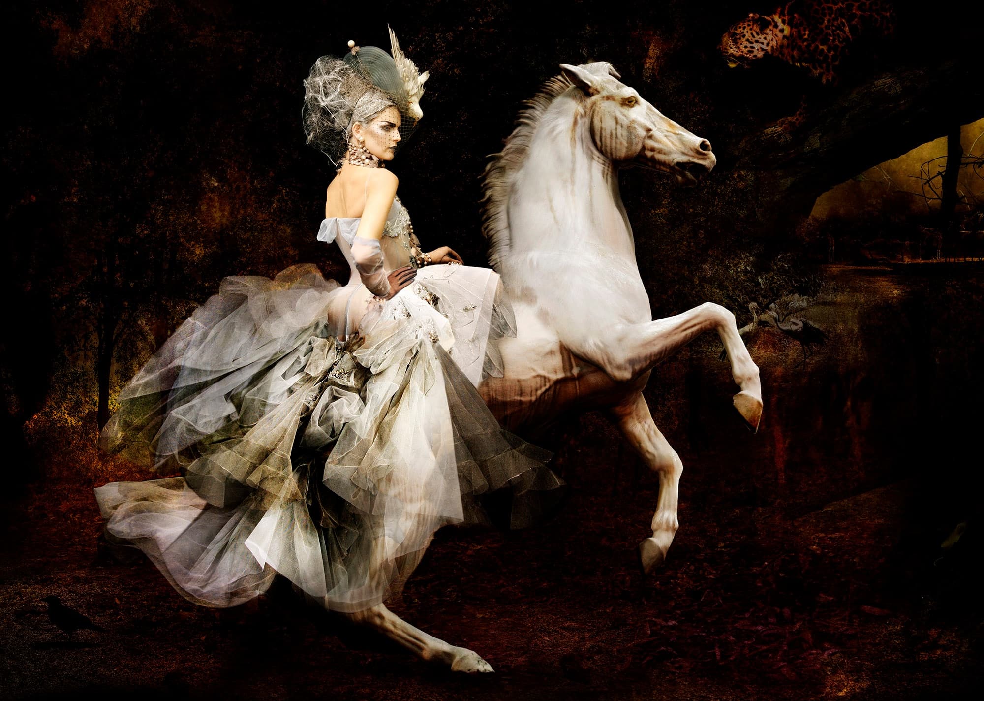 bhagavaan avkash recommends beauty dior riding pic