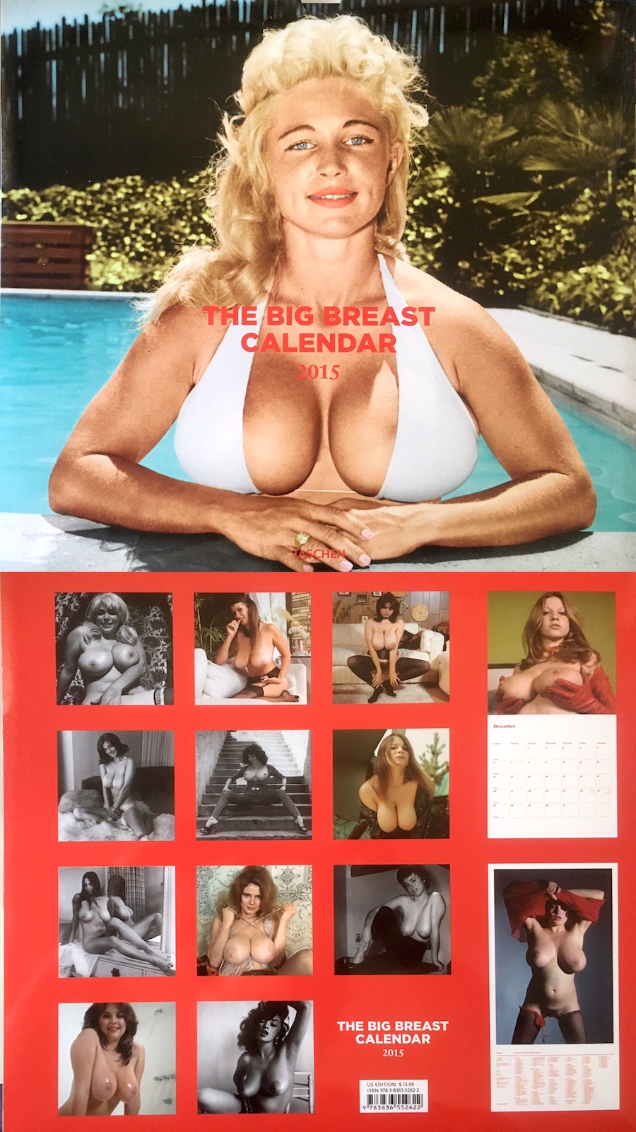 anne englehart add vintage giant tits photo