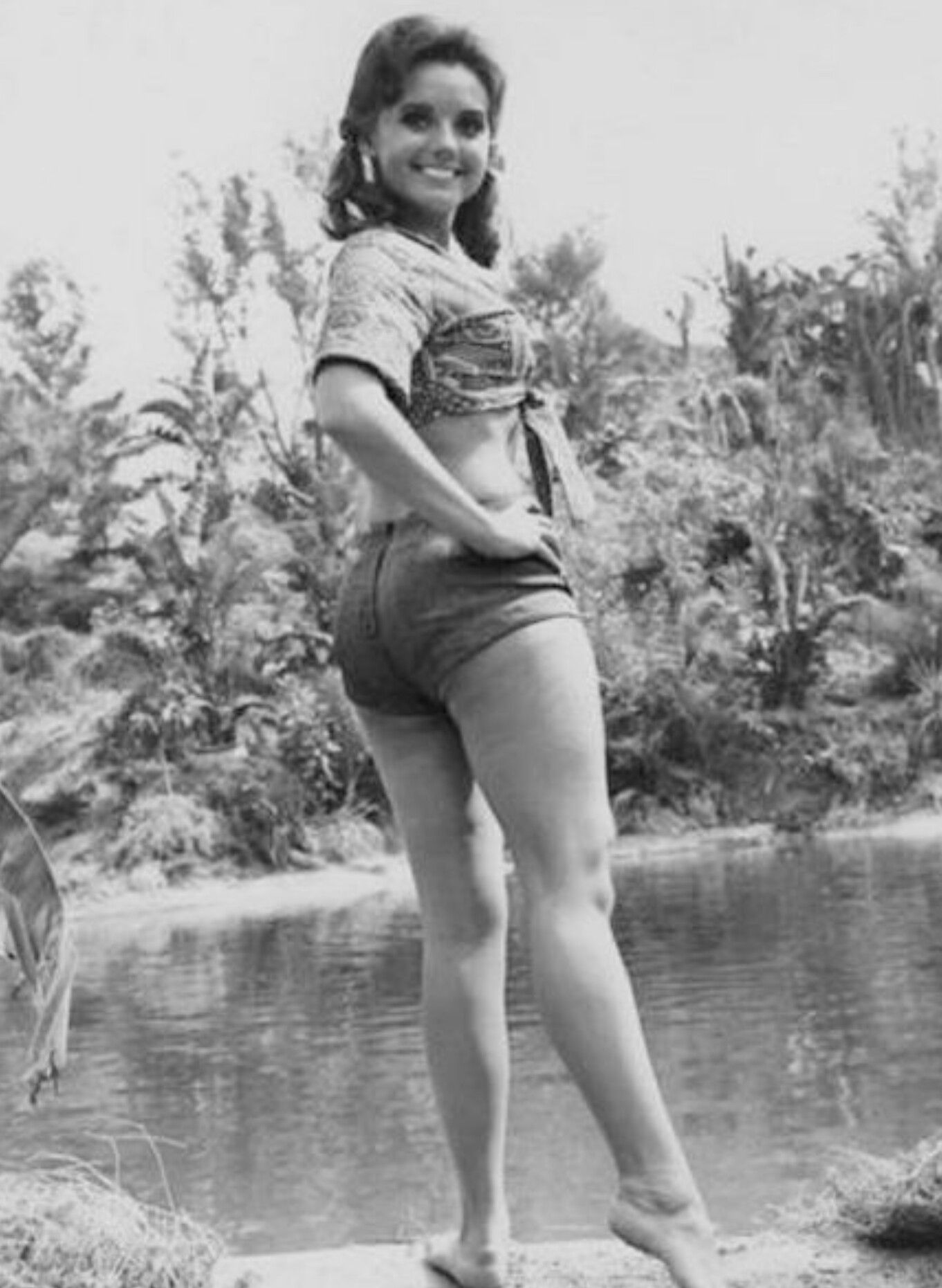 asoom abdulla recommends Dawn Wells In A Bikini