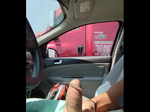 allison mcguire recommends flashing a trucker pic