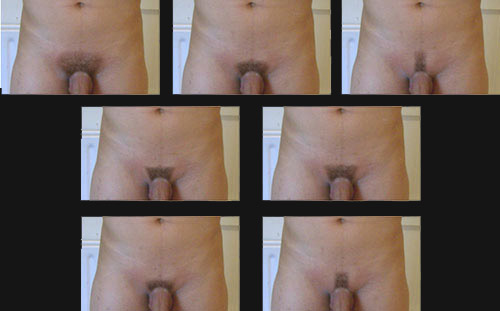 Male Nude Pubic Hair vegetable insertions