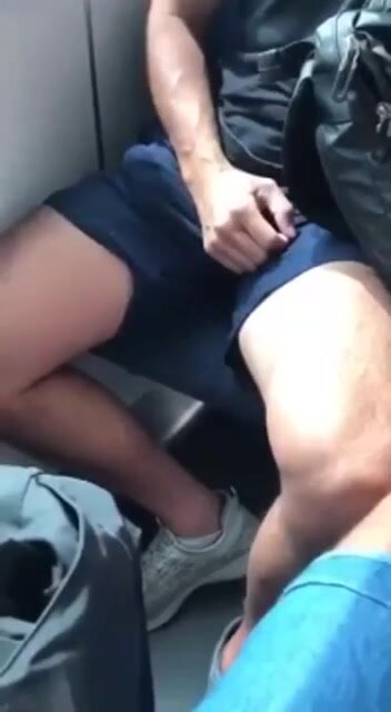 Best of Bus boner