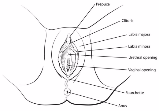 bobby dhar add needle thru clit photo