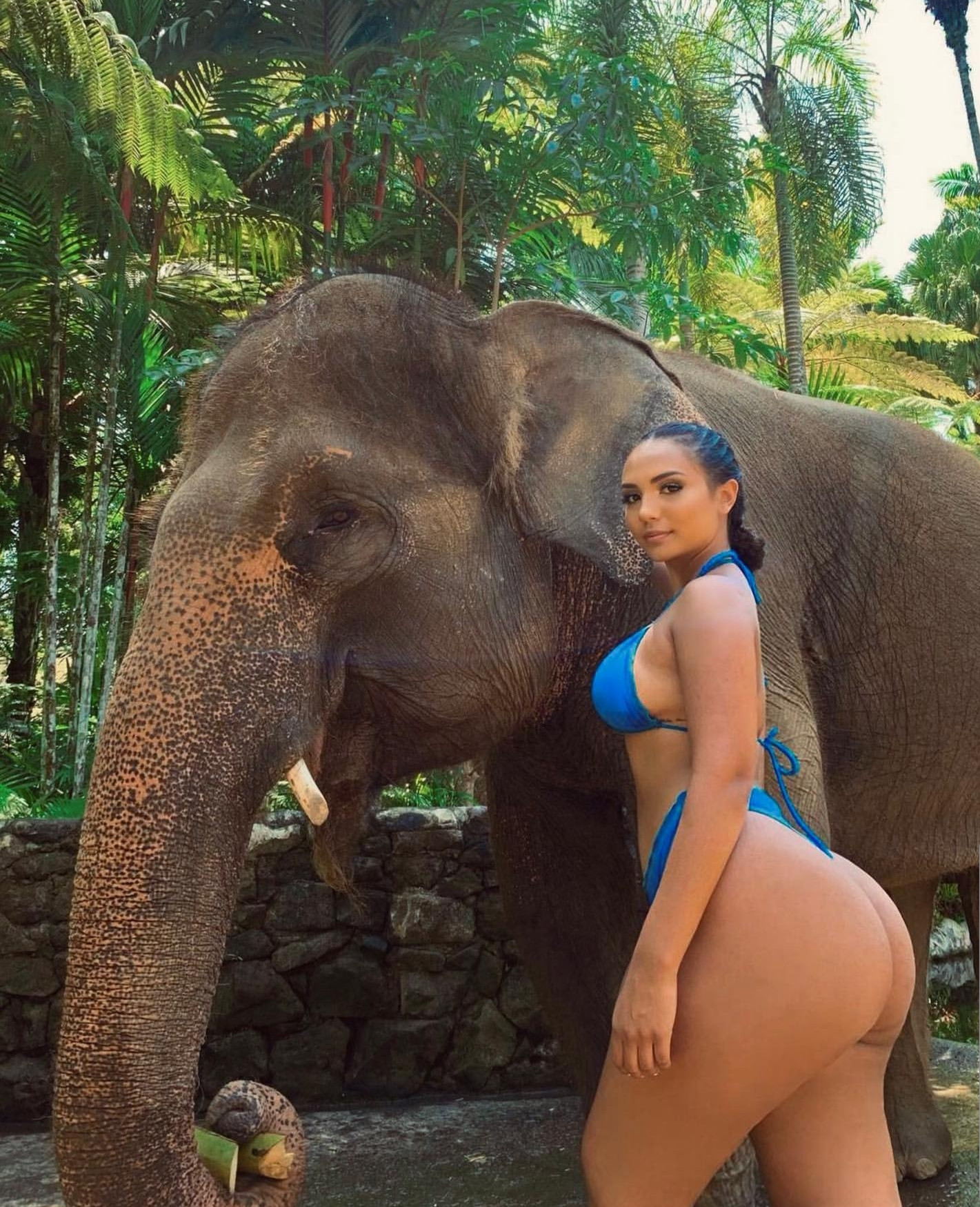 antonio barcelo add elephant porn photo