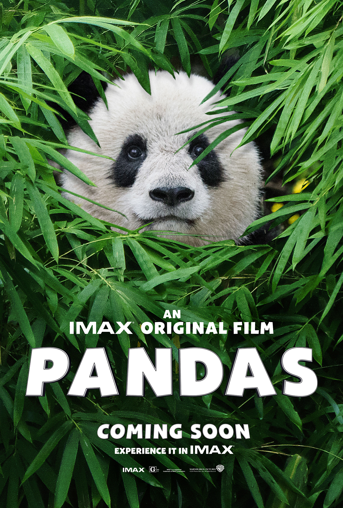 Best of Pandamovies com