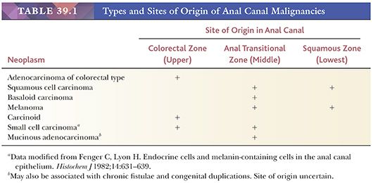 Best of Anal category