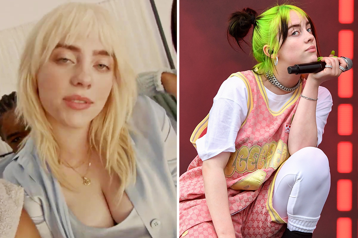 brad zellman add photo billie eilish boob job