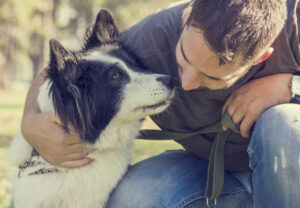 ann aylward add straight breeds gay photo