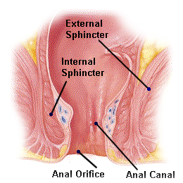 chris cassio recommends Anal Fist Guide