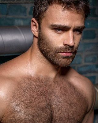 al maestro add photo hairy cam dudes