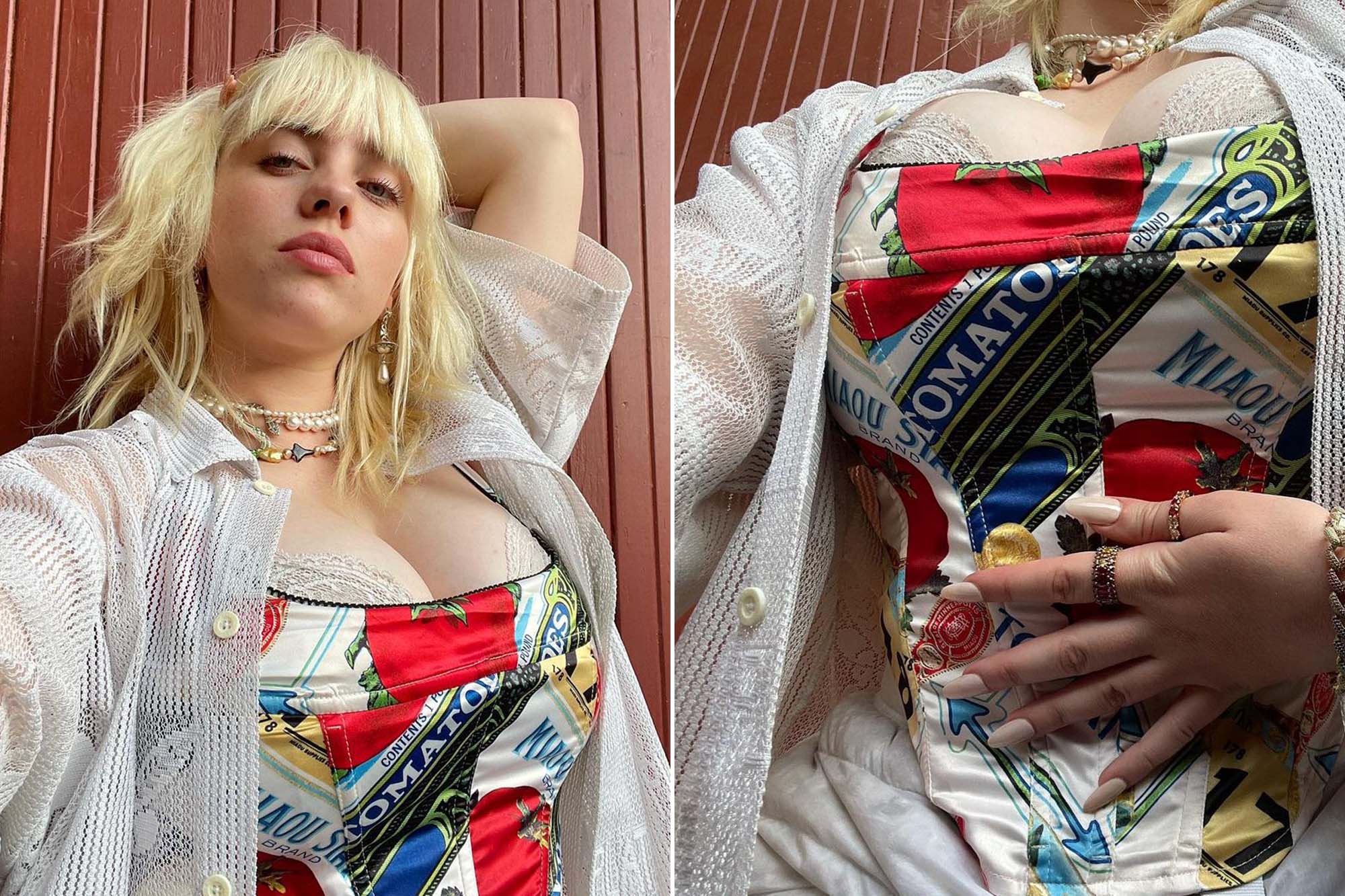 carole chidiac recommends Billie Eilish Boob Job