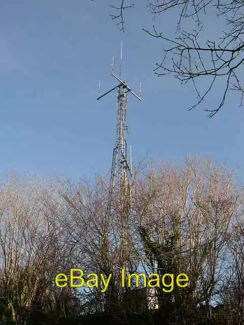 charles berdahl recommends hidden mast pic