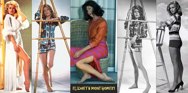 Best of Elizabeth montgomery legs