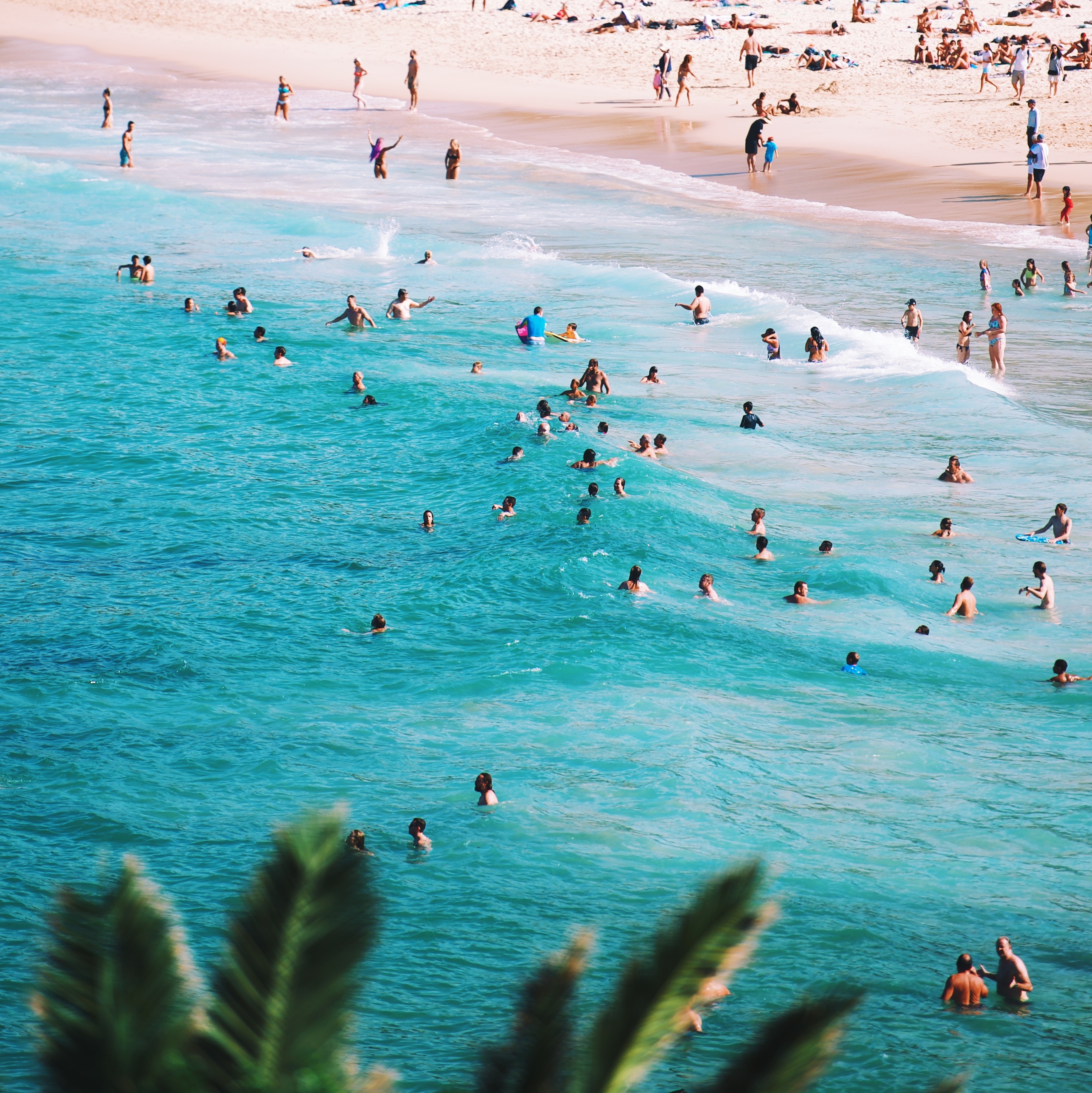 darlene gillard share voyeuristic beach photos