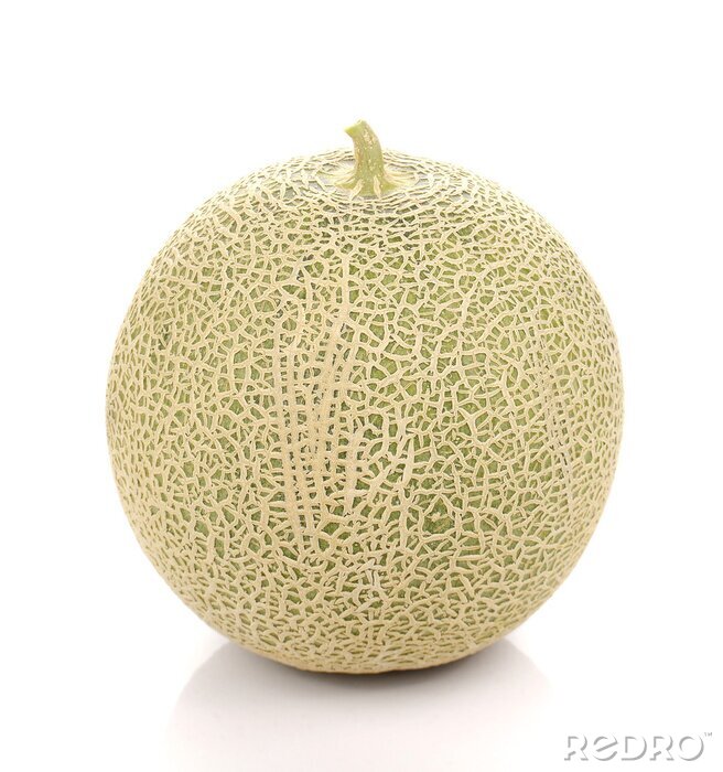 Big Melons Com fucks robber