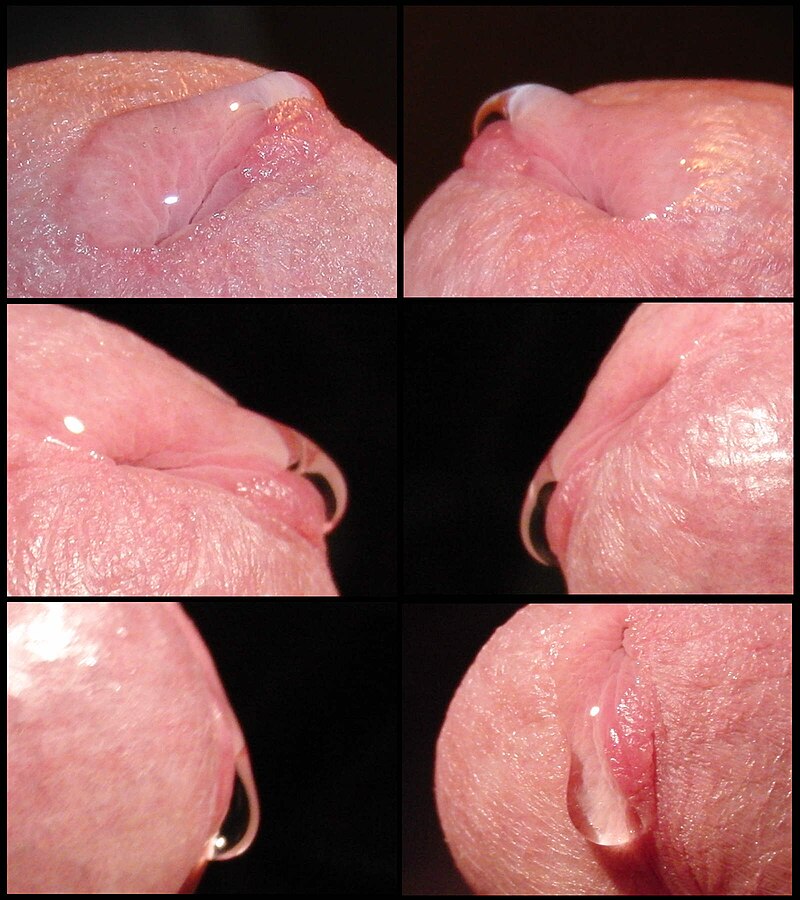 closeup ejaculation