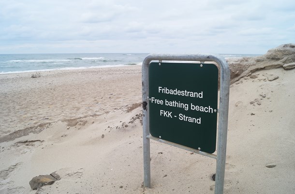 bird flight recommends danish nude beach pic