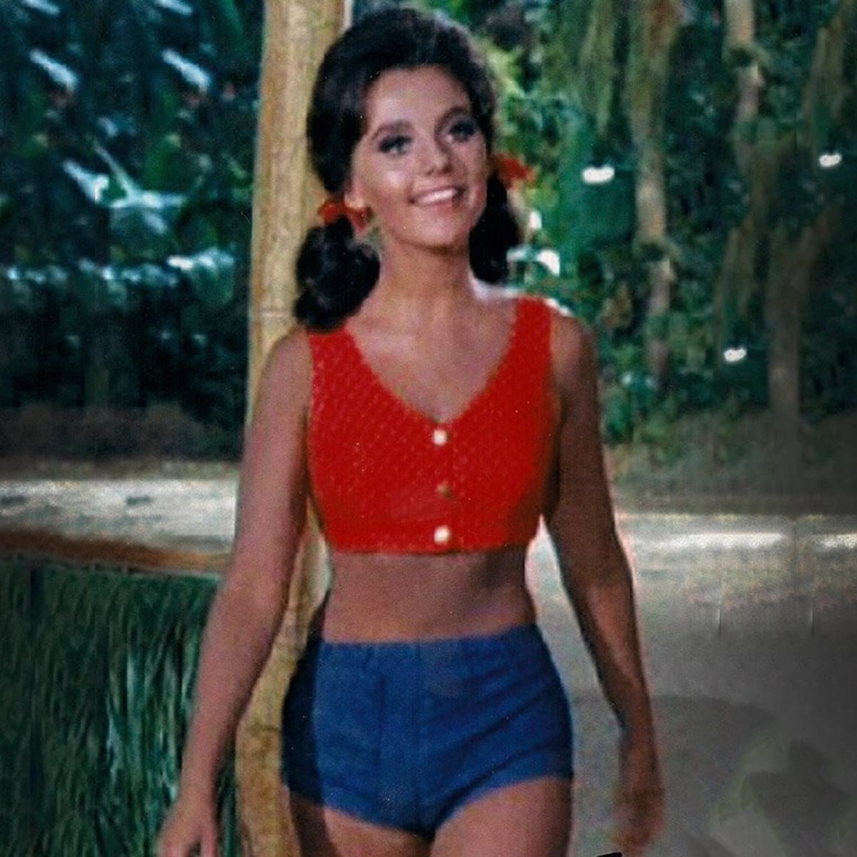 blerta hyseni recommends Dawn Wells In A Bikini