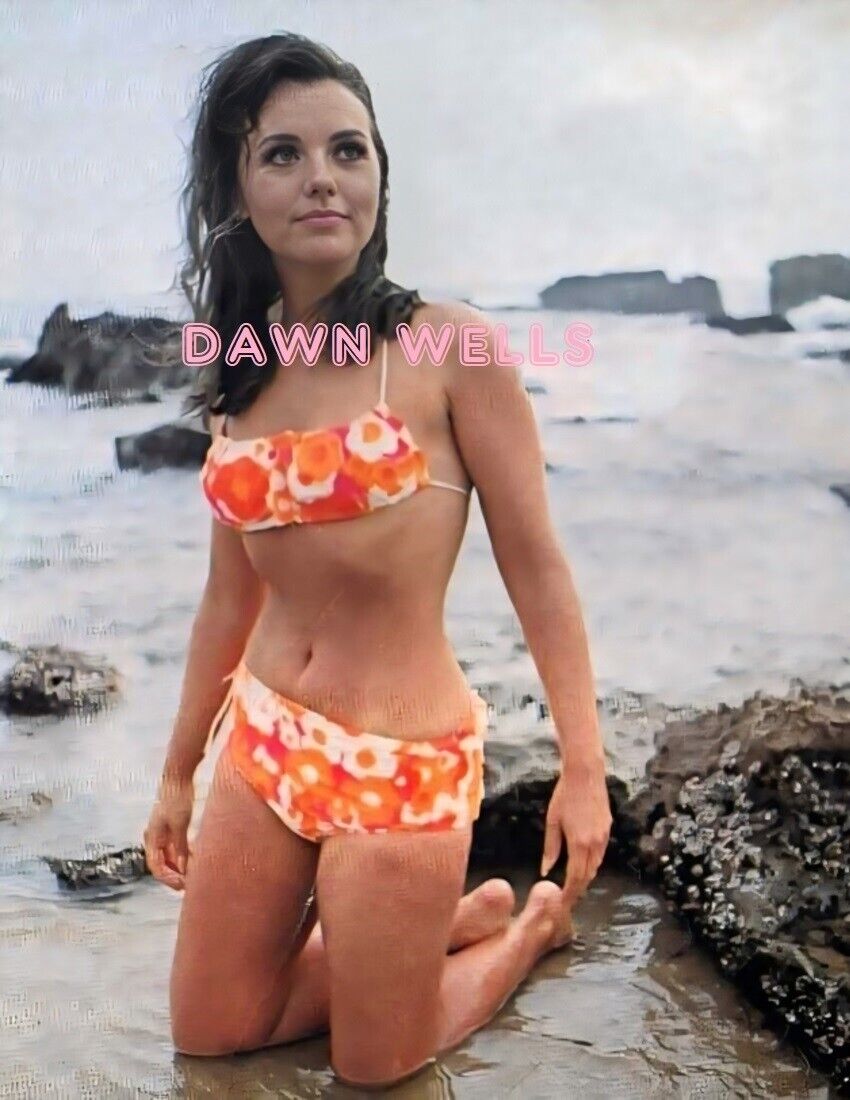 anthony moya recommends Dawn Wells In A Bikini