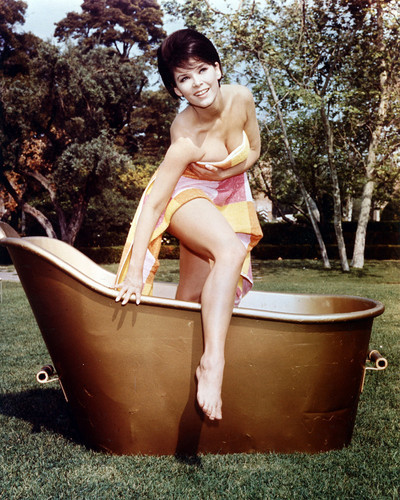 anishta appadoo recommends Yvonne Craig Nude