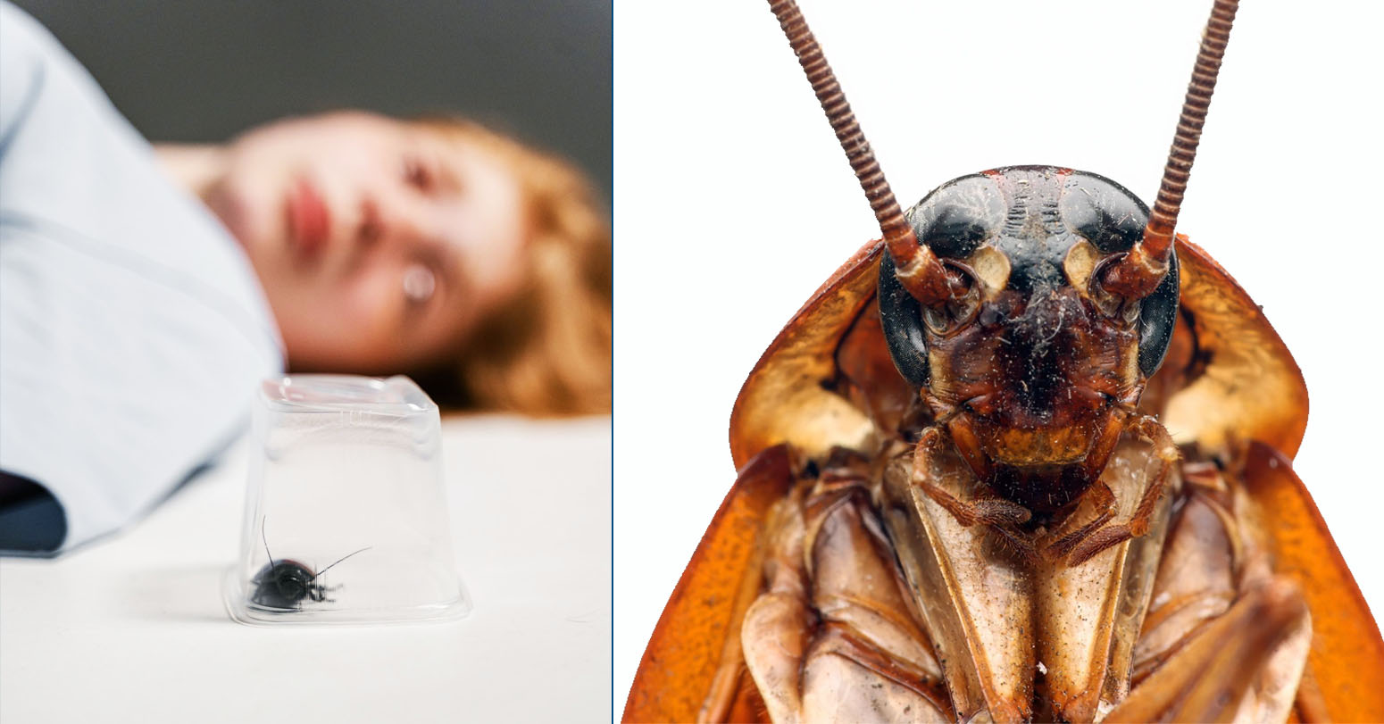 cynthia plott share insect inside pussy photos