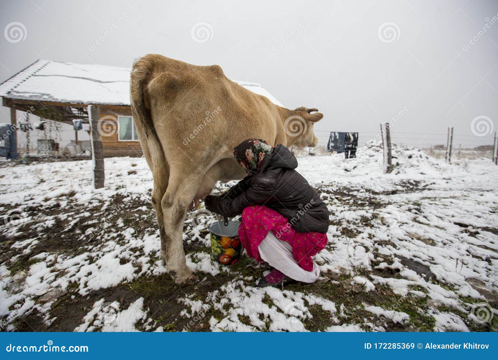 chelsey odom recommends Milking Latina