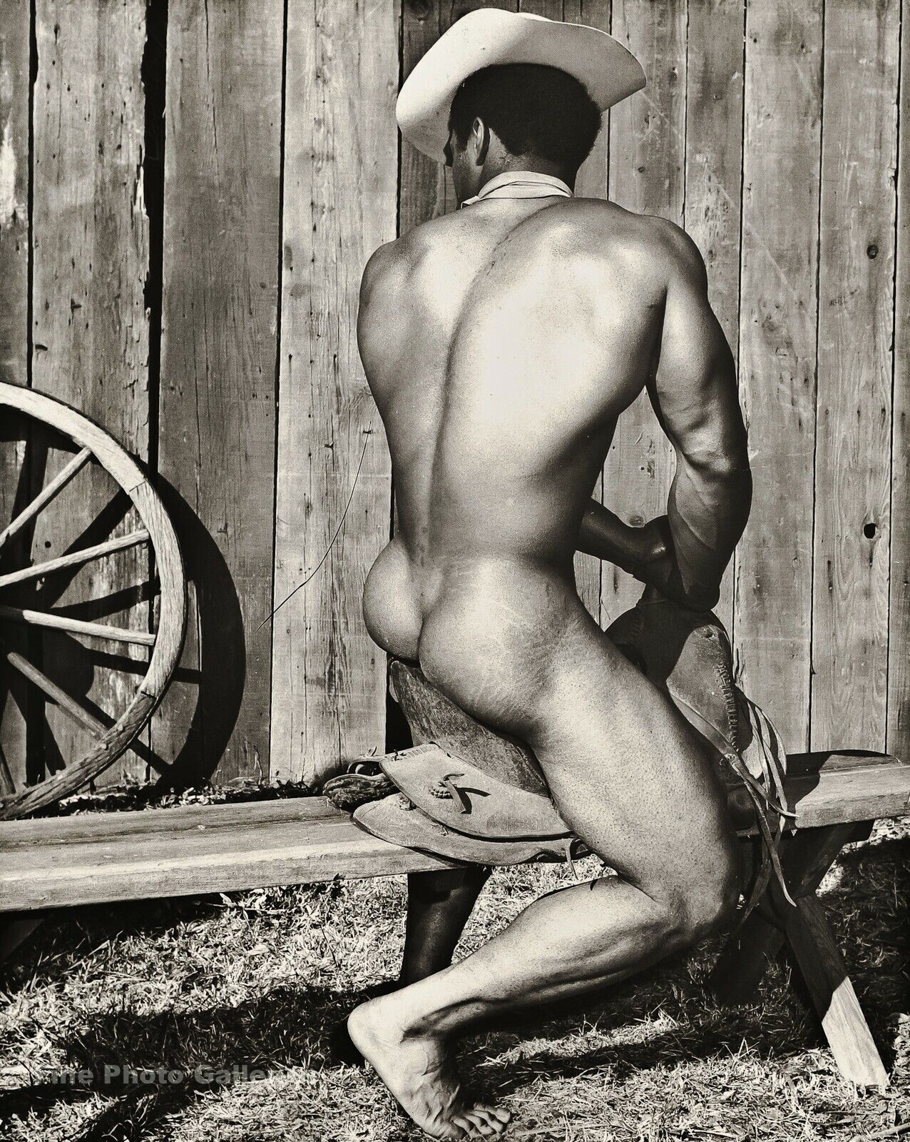 Best of Nude cowboy men