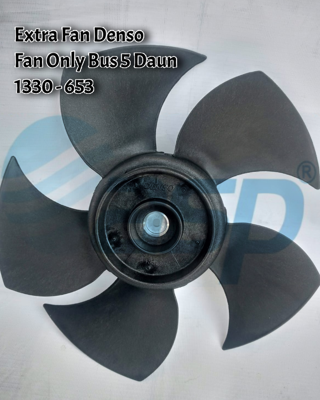 Only Fan Bus beaux clitoris