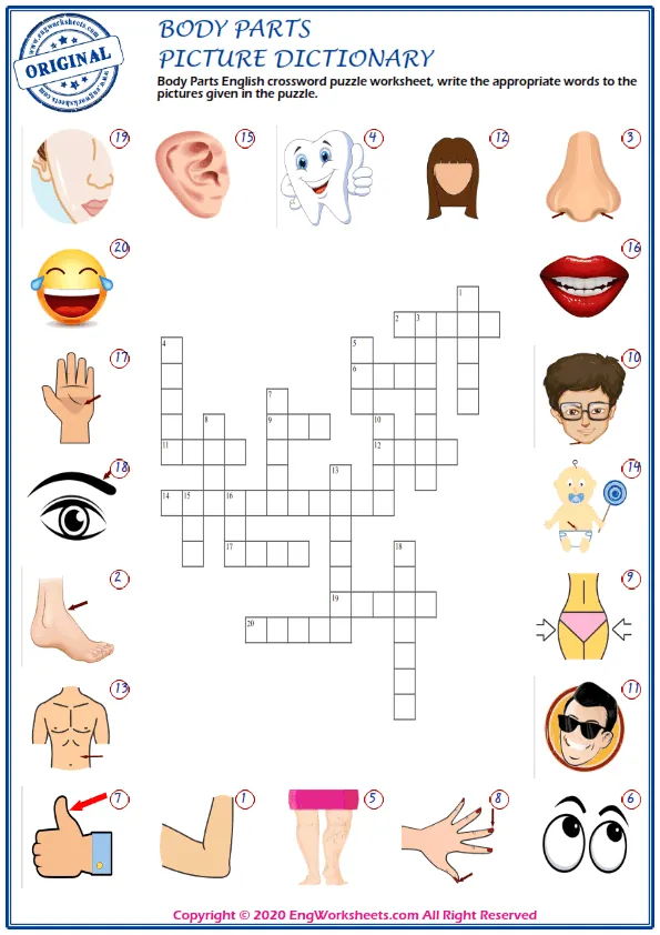 dan shores share our bodies need 20 crossword photos