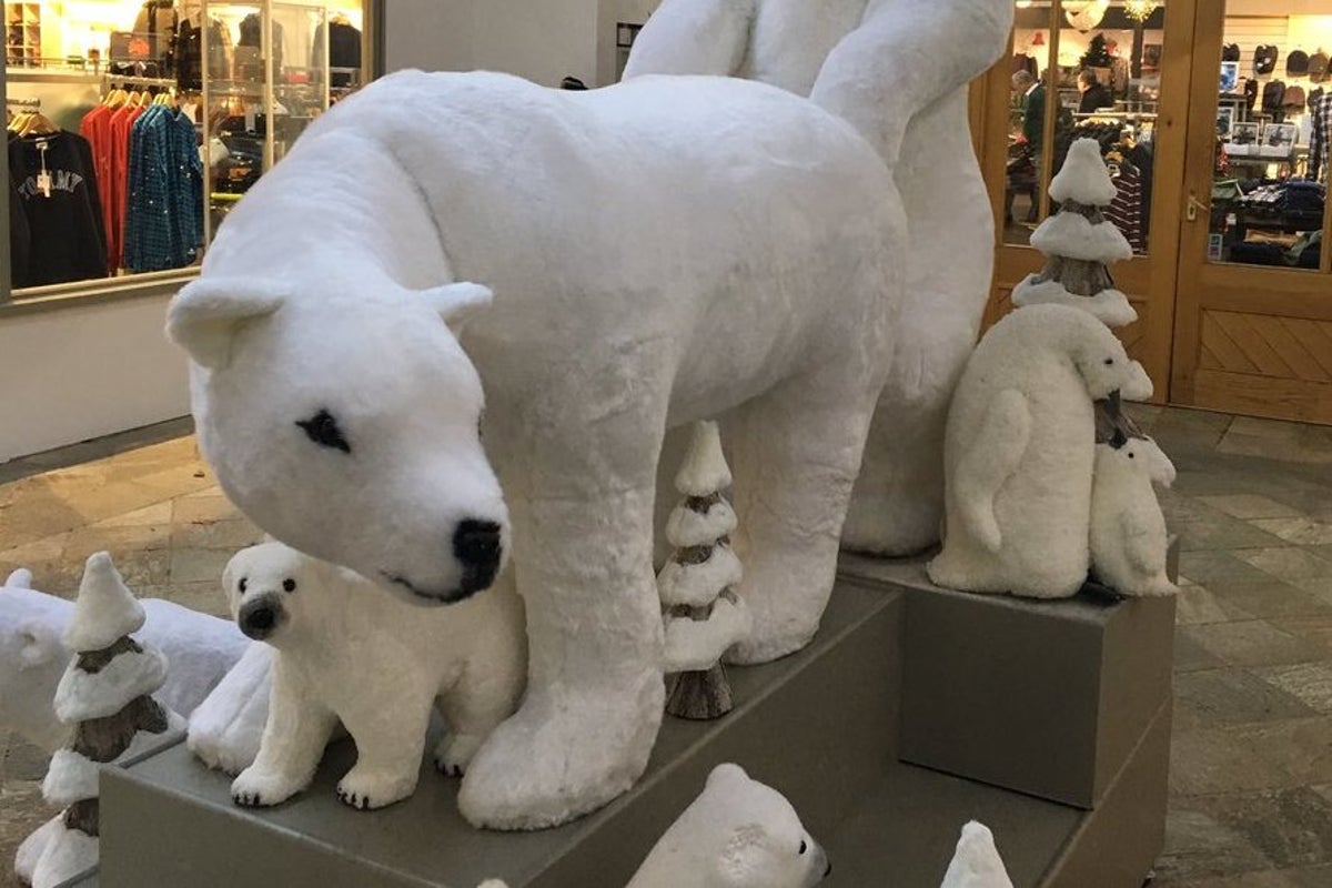 brittany umstead add photo polar bear porn