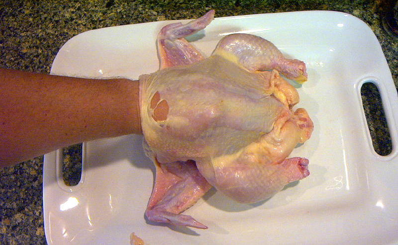 arlene nilsson recommends turkey fisting pic